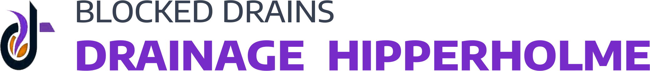 website logo